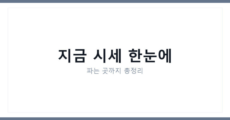 목포 청개비 가격