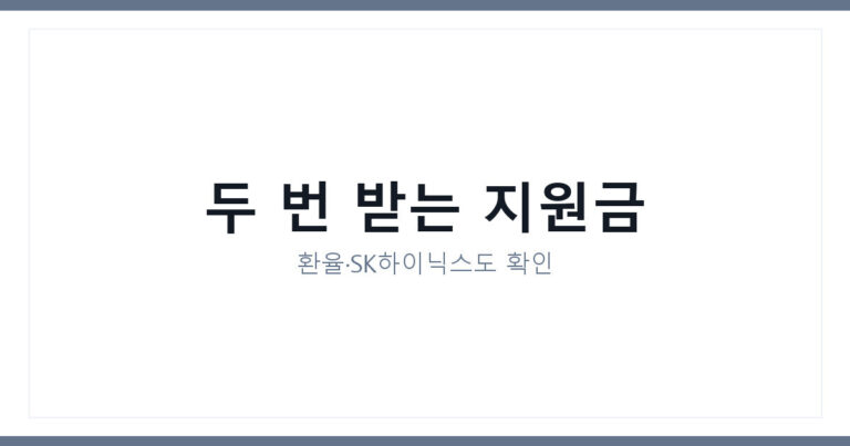 민생지원금