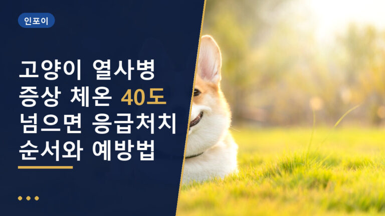 고양이 열사병