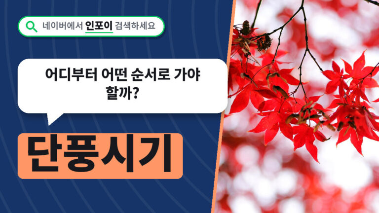 단풍시기